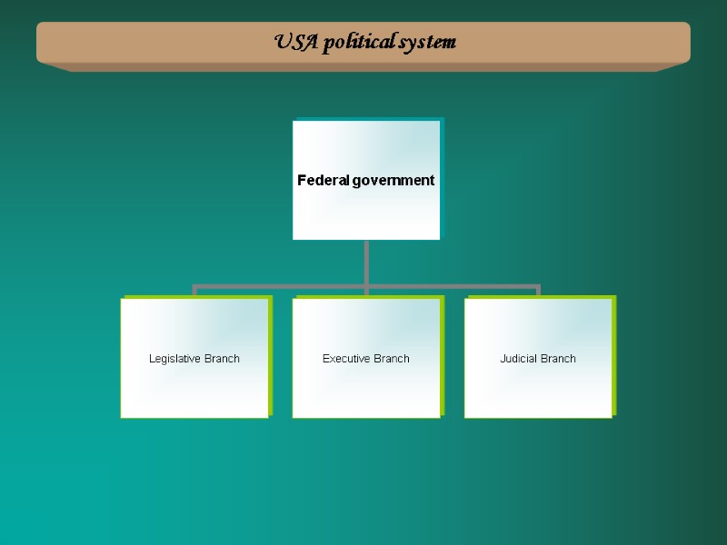 USA political system